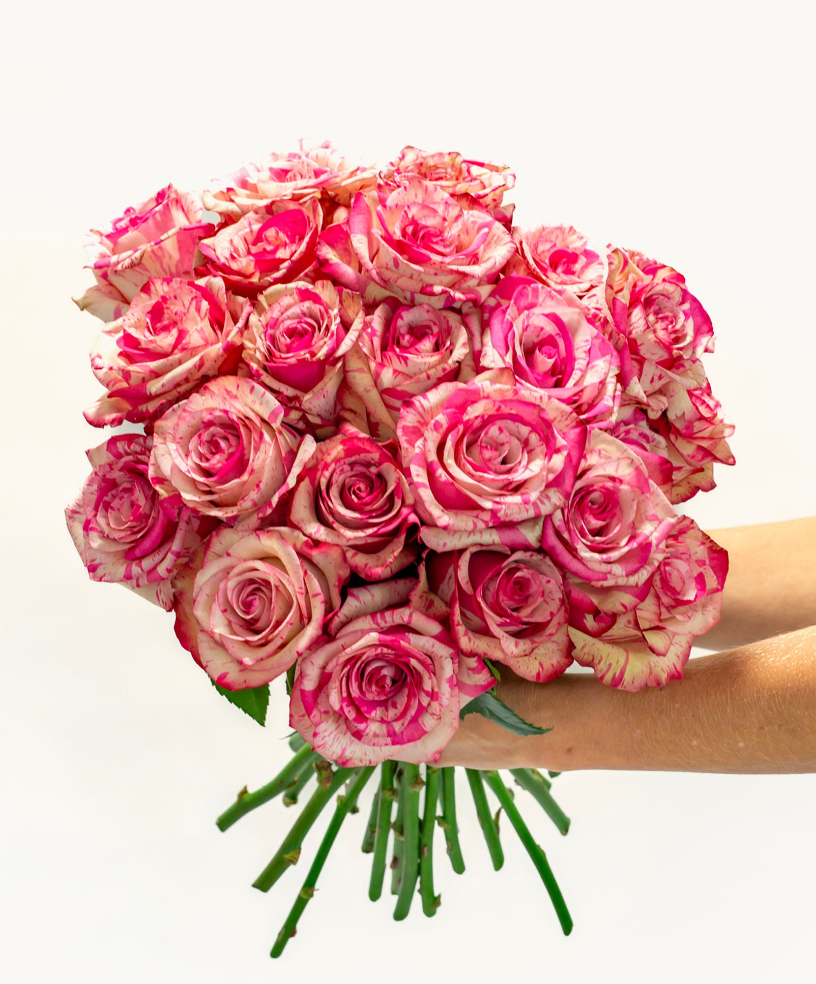 A stunning bouquet of pink and cream roses with delicate striped petals, perfect for gifting.